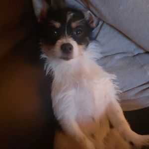 Meet your Posher, Brenda